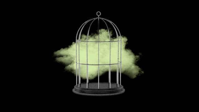 Photo illustration of a metal birdcage with a green gas cloud inside
