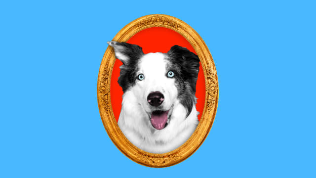Photo illustration of Messi dog in frame