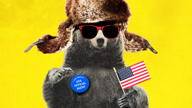 A photo illustration of a bear in a poor disguise as an “American.” He’s wearing a Russian hat, red sunglasses, waving an American flag and wears a pin that claims he’s a top US official.