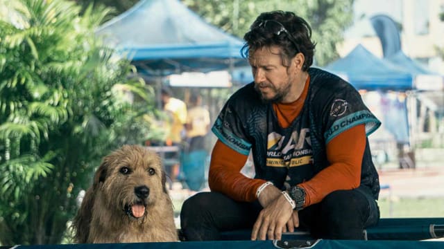 Photo still of Mark Wahlberg and a dog in Arthur and the King