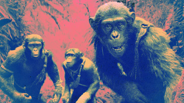 Noa, Soona, and Anaya in Kingdom of the Planet of the Apes.
