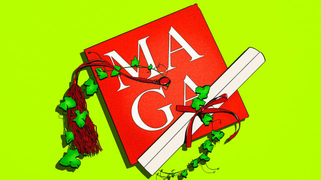Illustration of a red graduation cap with "MAGA" on it, a diploma, and ivy on it