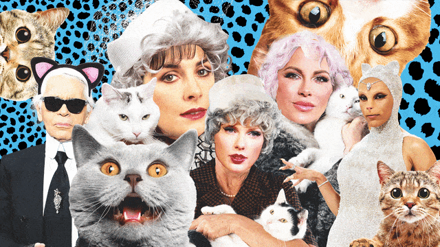 A photo illustration of famous "cat ladies" including Taylor Swift, Enya and Doja Cat.