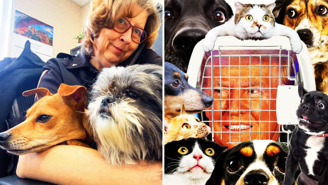 Clark County Dog Warden Sandi Click with two puppies (left), Donald Trump in a travel pet carrier with a collage of animals around him (left)