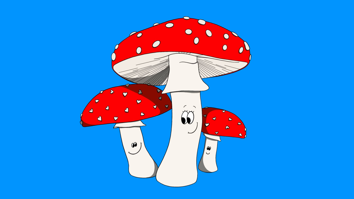 How ‘The Devil Wears Prada’ Explains the Mushroom’s Appeal