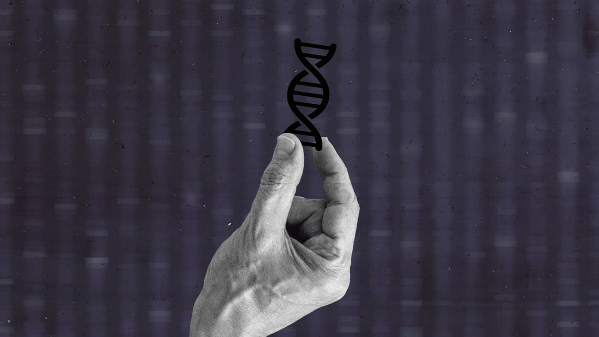 How Science and Genetics are Reshaping the Race Debate of the 21st Century  - Science in the News