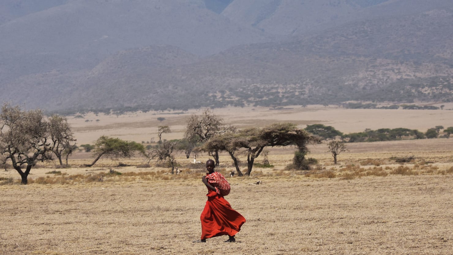 Maasai couple (warrior and girl) in traditional clothing. Africa