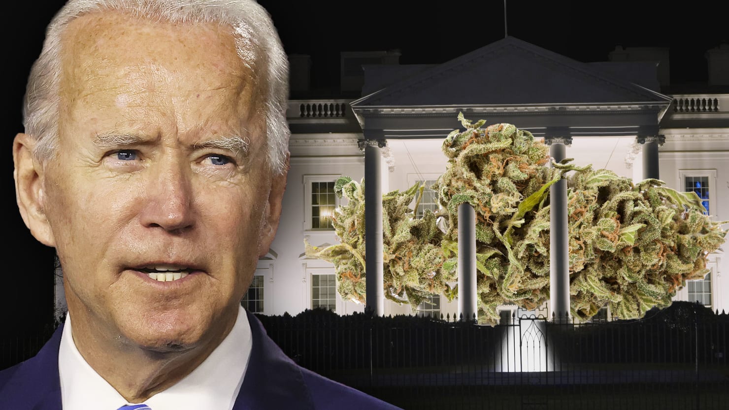 Biden White House sandbag workers, dozens for marijuana use