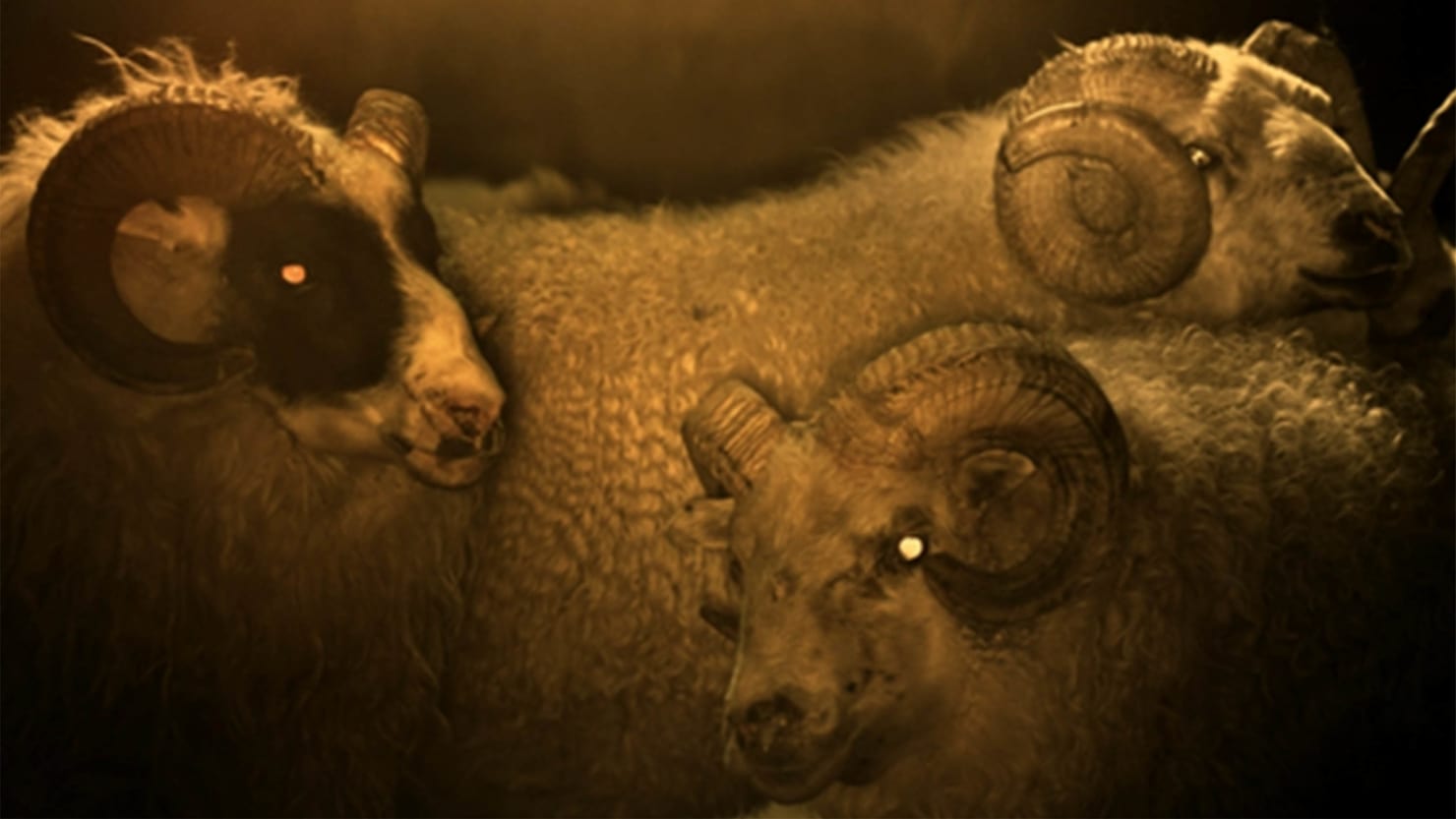 Lamb Is The Lamb Human Hybrid Horror Movie That Will Haunt Your Dreams