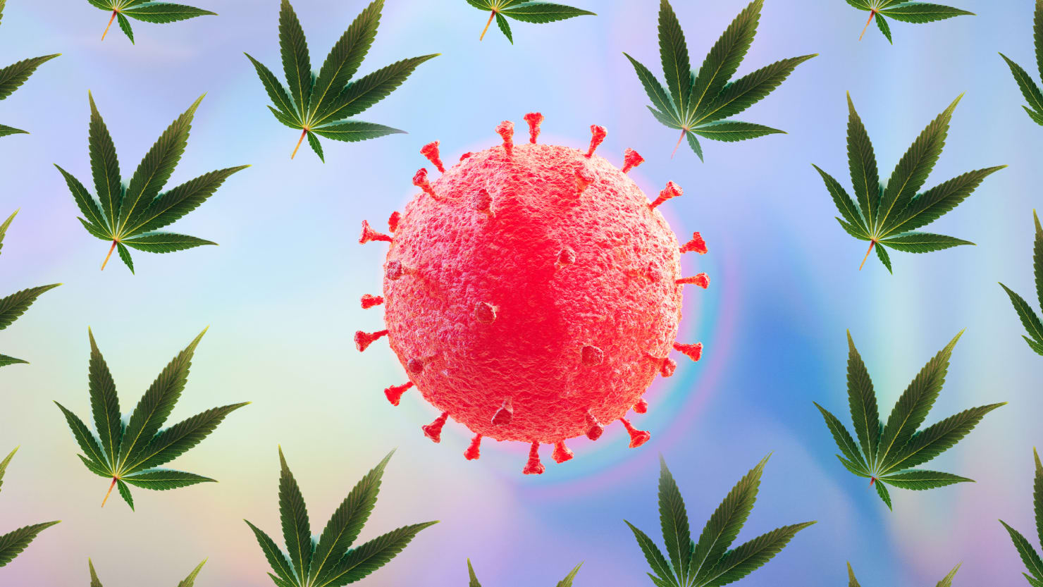 Many Clinical Trials Are Testing Whether Cannabis CBD Could Be an Effective COVID-19 Treatment