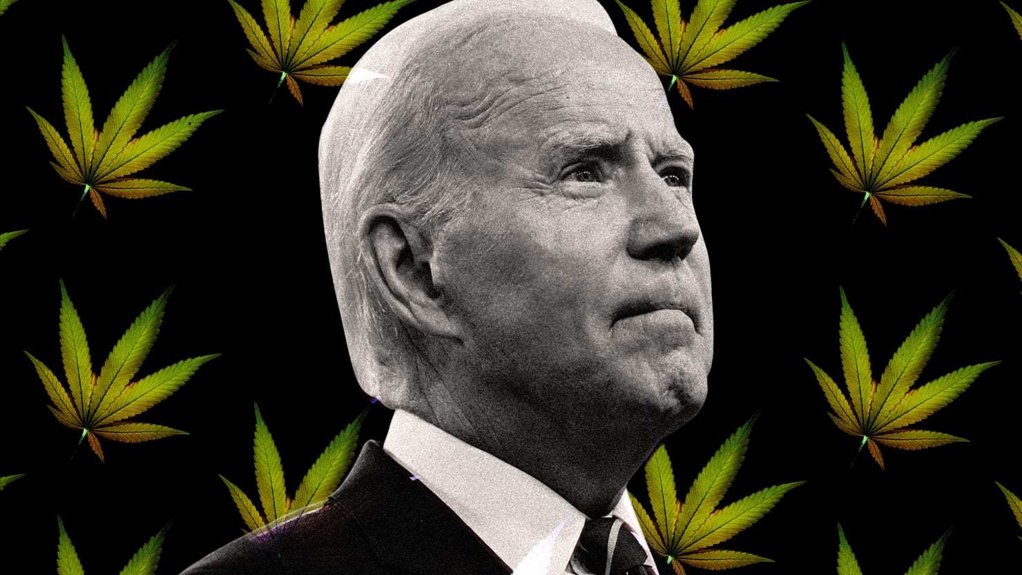 Pourquoi diable Joe Biden ne met-il pas fin à la guerre fédérale contre le cannabis ?