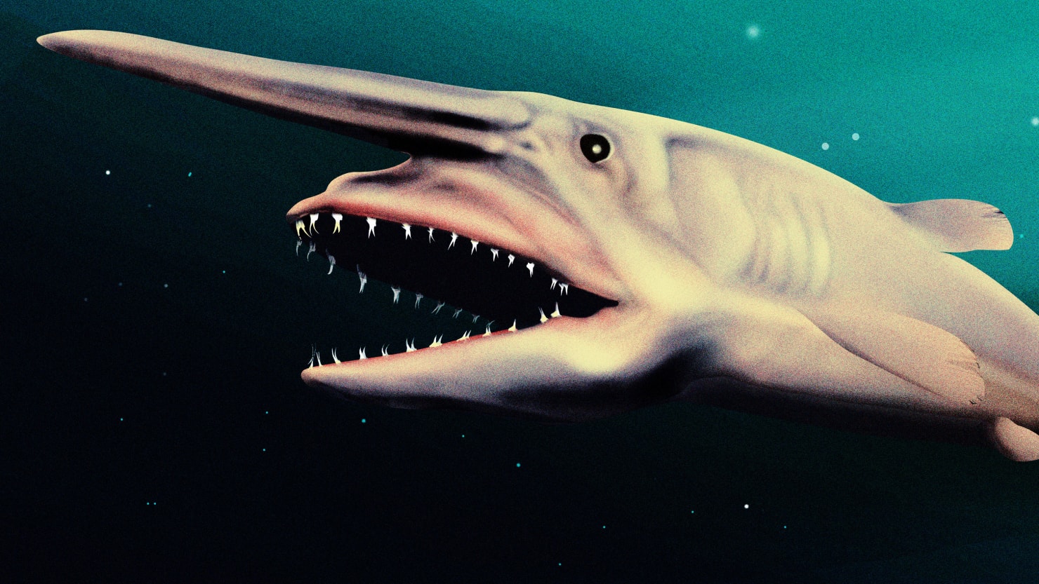 Photo of Wissenschaftler argumentieren, dass die Entdeckung eines extrem seltenen Koboldhais wirklich ein Spiel ist