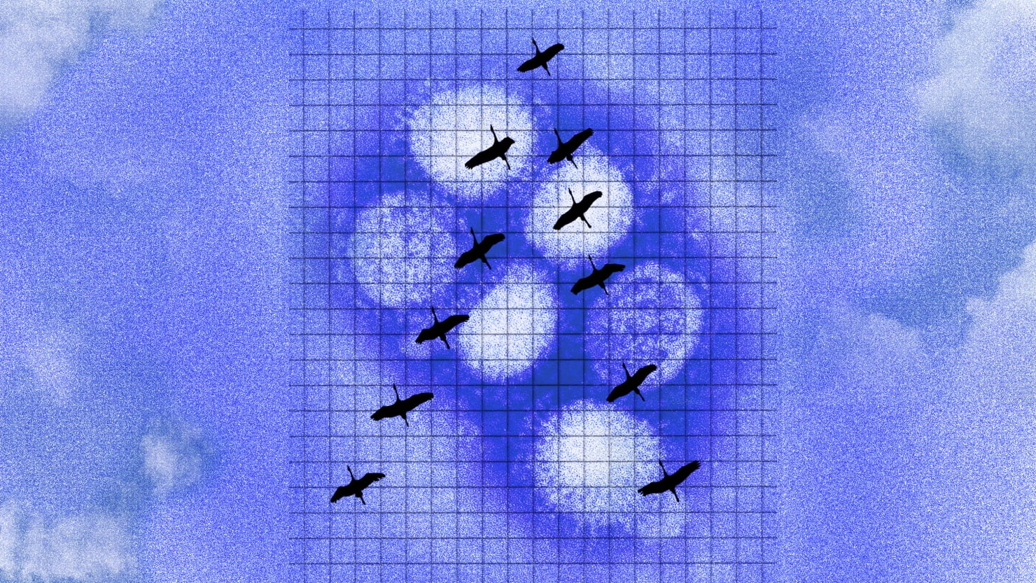 Scientists Fear Bird Flu Surge as Billions of Birds Start to Fly Home - The Daily Beast