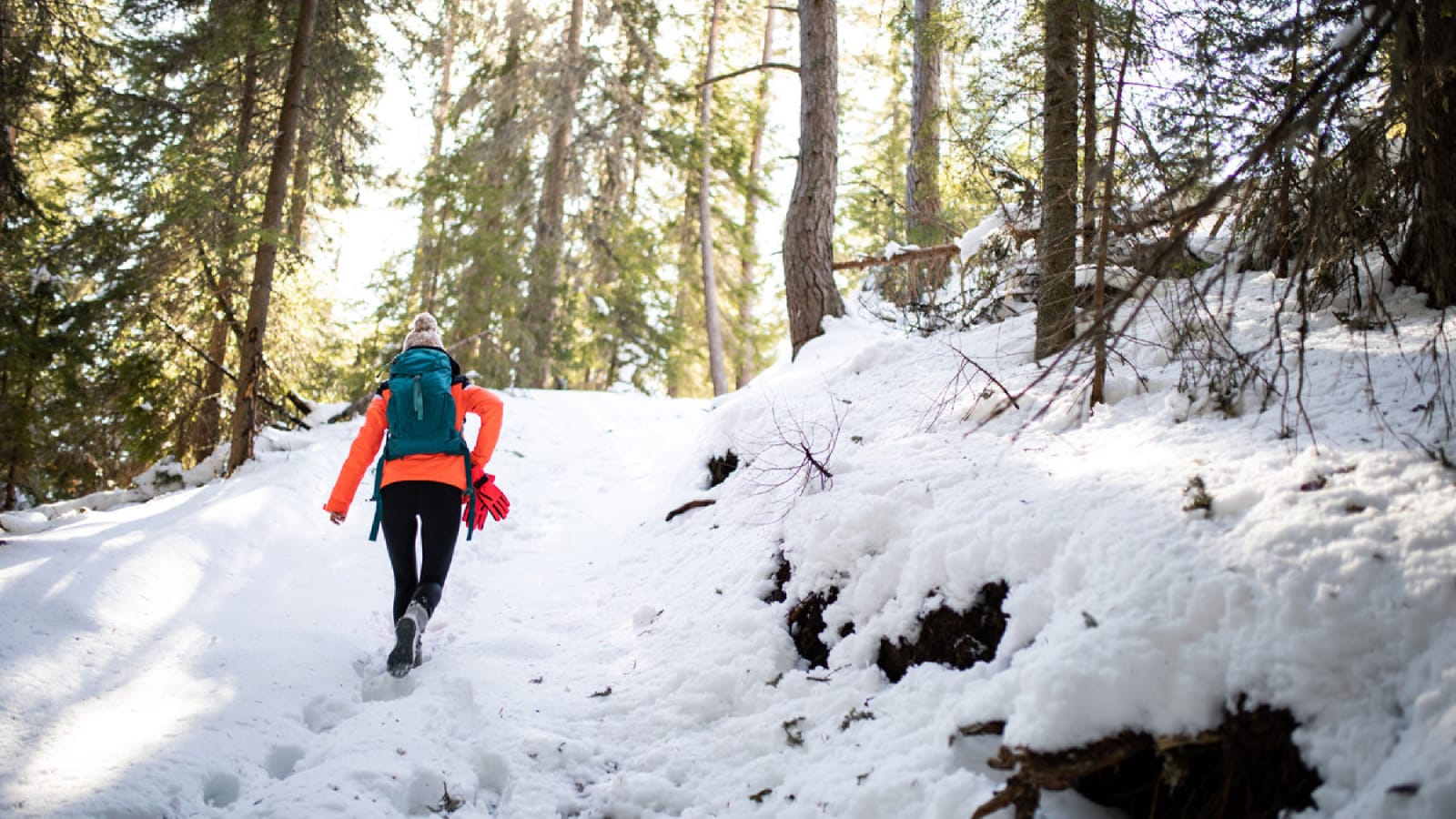 Don't Be Scared of Winter Hiking