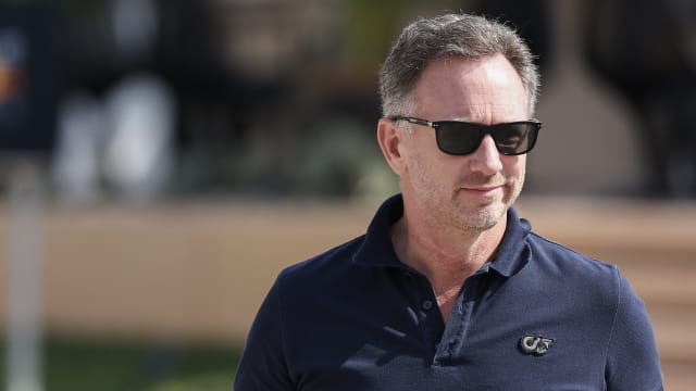 A mysterious complaint against F1 team principal Christian Horner has been dismissed, Red Bull Racing announced.