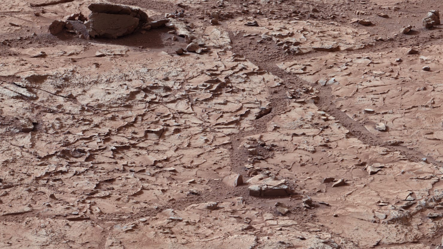 Марс пригоден для жизни. Камень с Марса. Живые камни на Марсе. Шампо каменный Марс. Марсианские просторы.