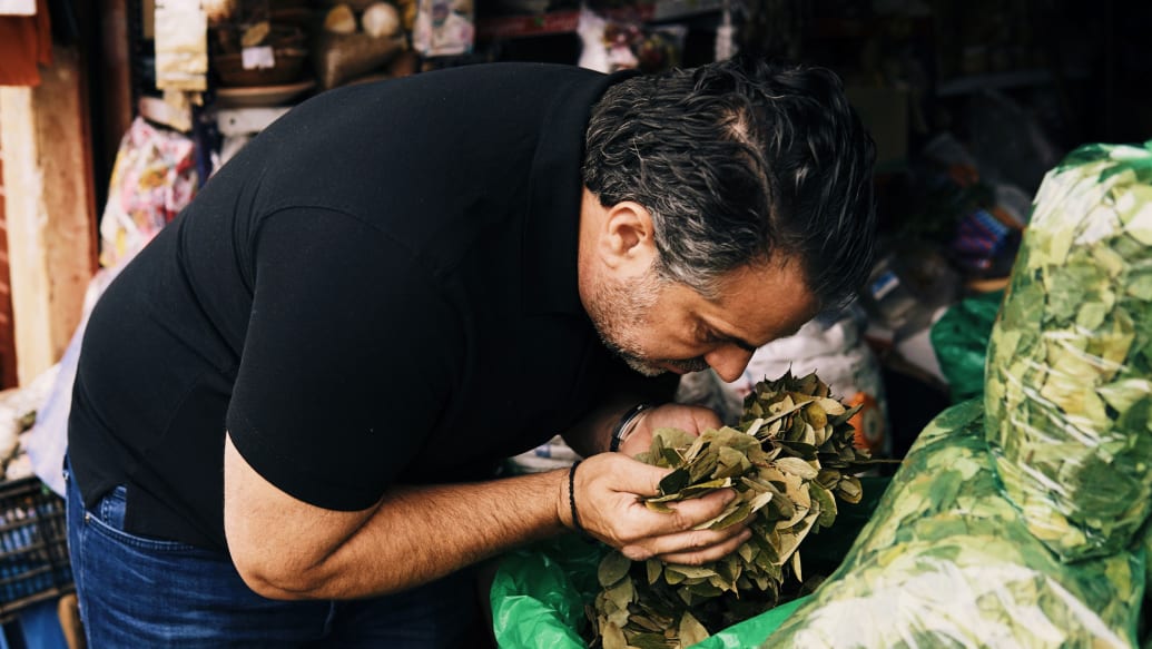 Bill Panagiotakopoulos sniffs coca leaves