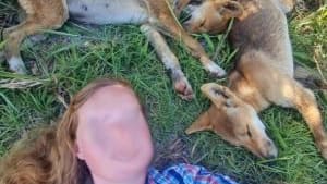 A photo of one of the two Australian women fined for taking selfies with dingoes, who is seen lying next to three sleeping pups.
