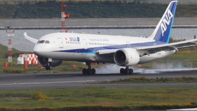An All Nippon Airways (ANA) flight had to return to Tokyo after an American passenger bit a flight attendant. 
