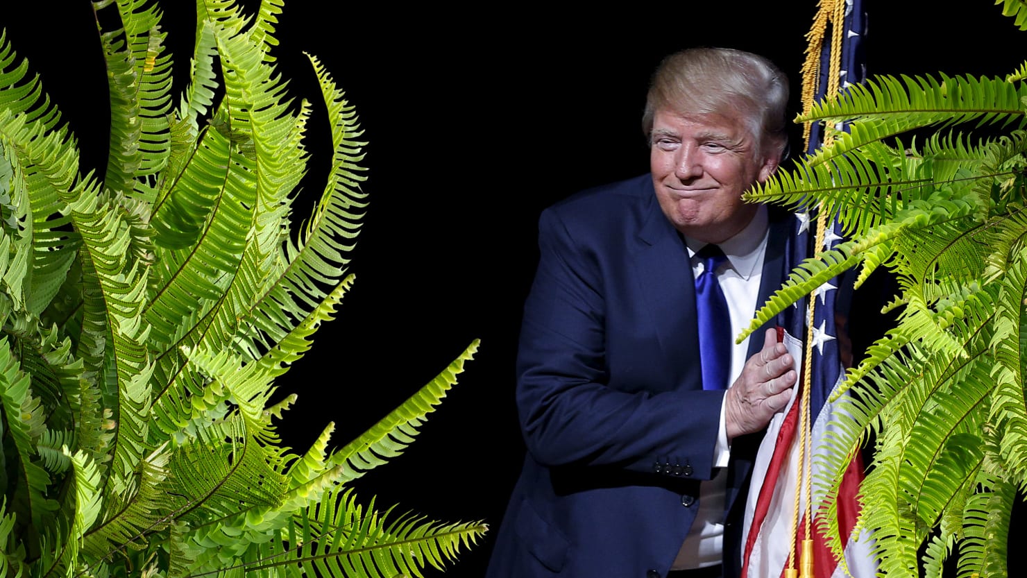 Between Two Ferns Director Scott Aukerman: Trump Would Be Terrible on