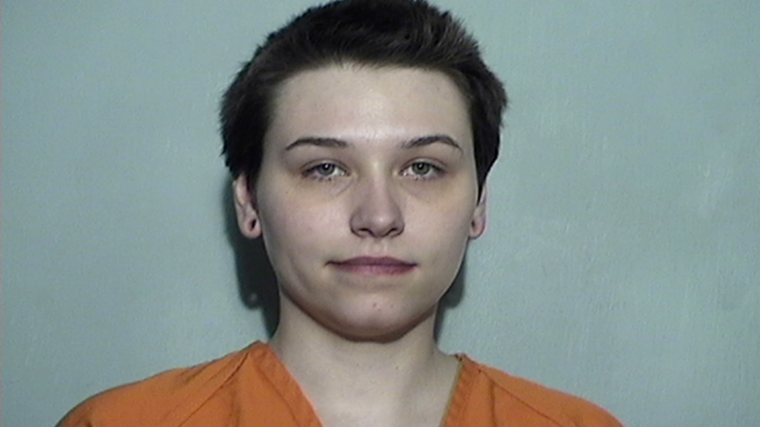 Ohio Woman Elizabeth Lecron Pleads Guilty To Terror