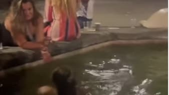 A tourist swims topless in a Florence fountain