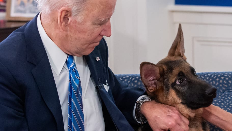 Biden's dog Commander bit a Secret Service Agent Monday night.