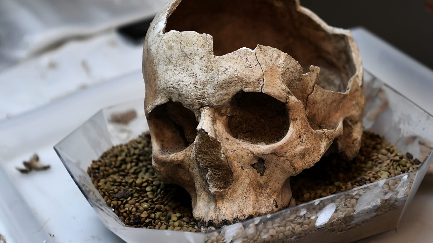 Broken Skull Found in Greece Is ‘Oldest Human Fossil’ Outside of Africa