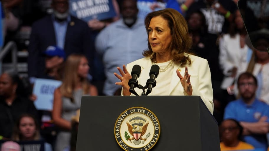 Democratic presidential nominee and US Vice President Kamala Harris speaks during a rally in Savannah, Georgia, on August 29, 2024.