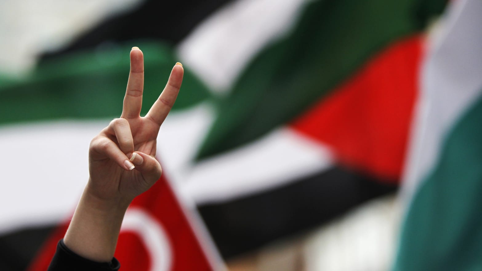 A pro-Palestinian supporter gestures in front of Palestinian flags with other supporters. 