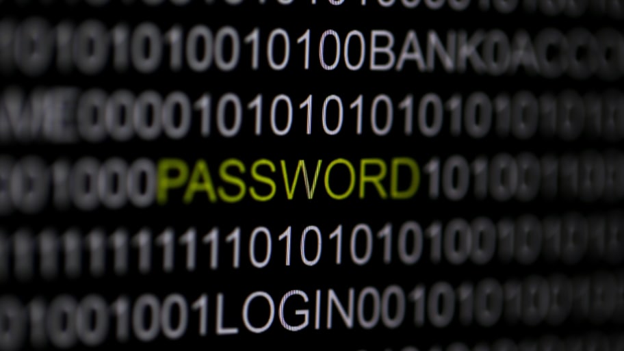 The word 'password' is pictured on a computer screen in this picture illustration taken in Berlin May 21, 2013.