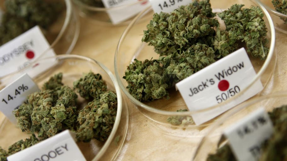 Marijuana buds in a dispensary