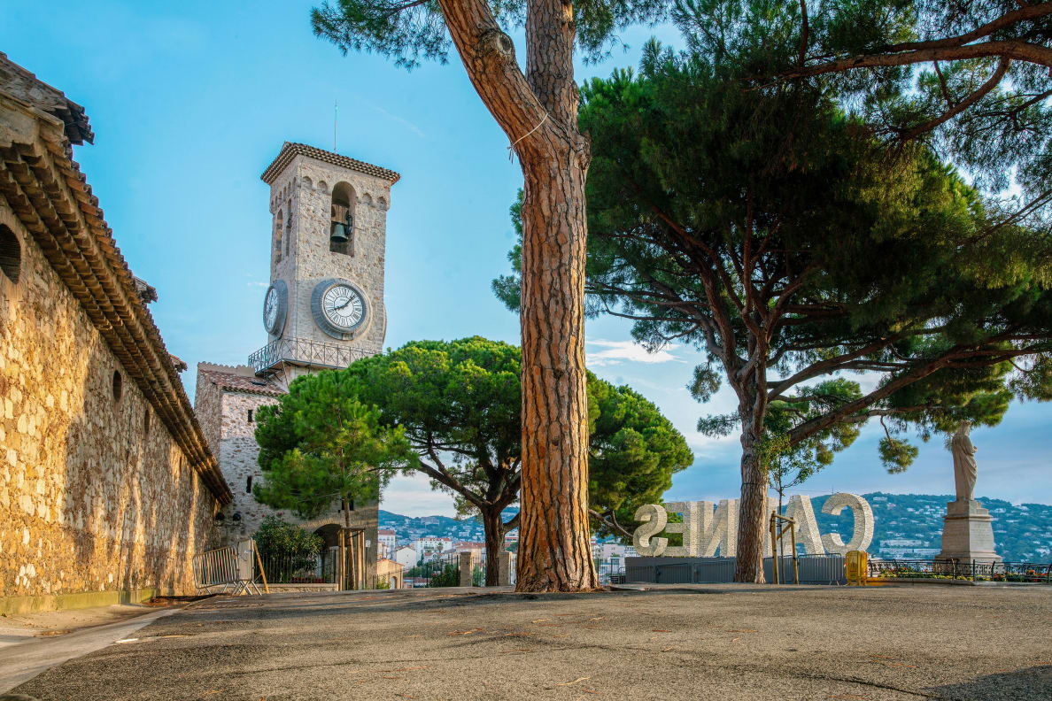 Pine trees and the tower of church Eglise Notre Dame d'Esperance.