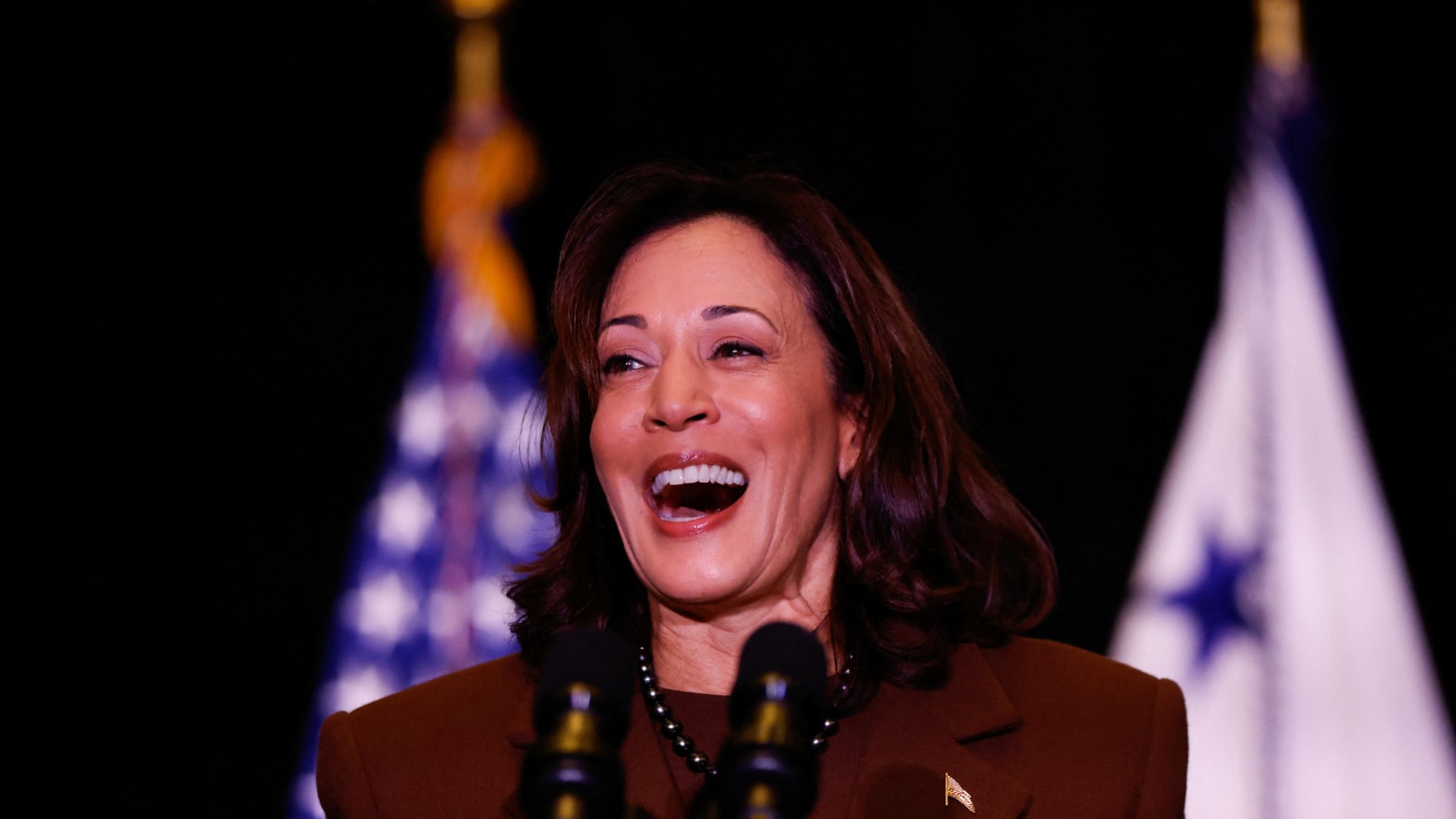 Kamala Harris, the presumptive 2024 Democratic presidential nominee