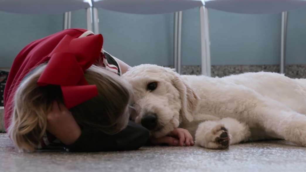 Netflix’s ‘Dogs’ Is the Heartwarming, Feel-Good TV Series of the Year