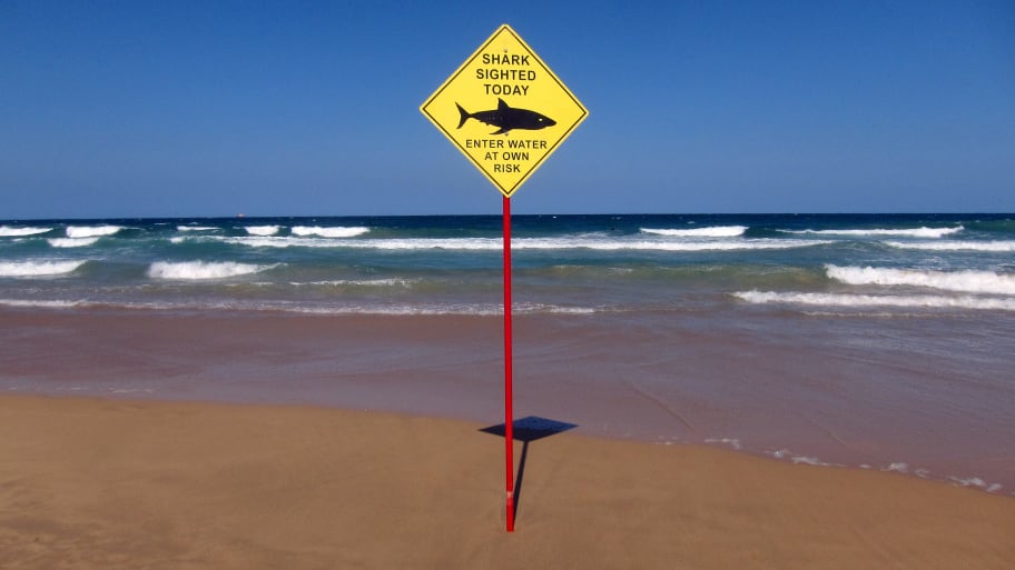 A sign warning beachgoers of a shark sighting