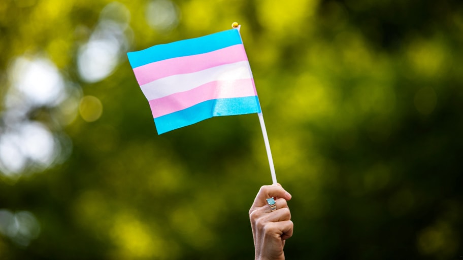 Transgender rights activist waves a transgender flag as they protest the killings of transgender women this year, at a rally in Washington Square Park in New York, U.S., May 24, 2019. 