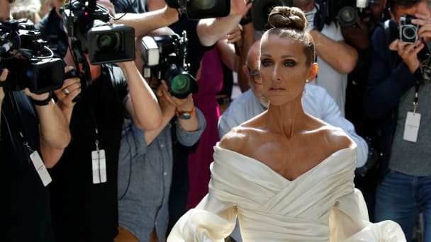 Celine Dion Makes Rare Public Appearance at Hockey Game