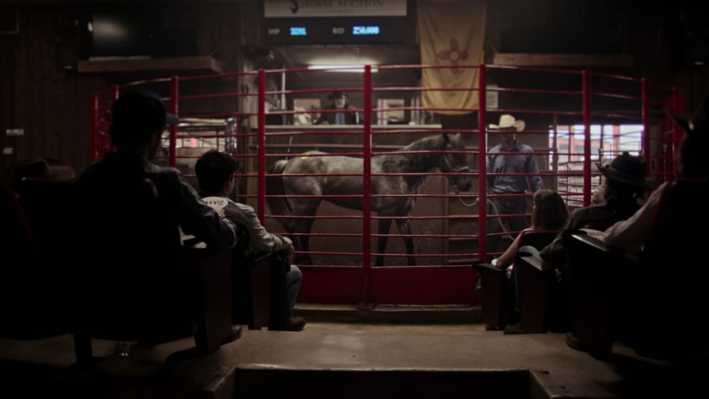 A horse auction depicted in “Cowboy Cartel.”