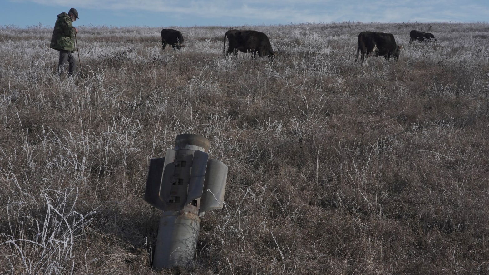 A man shepherds his cows near a rocket case left after a military conflict over Nagorno-Karabakh region, outside Stepanakert, Jan. 6, 2021. 