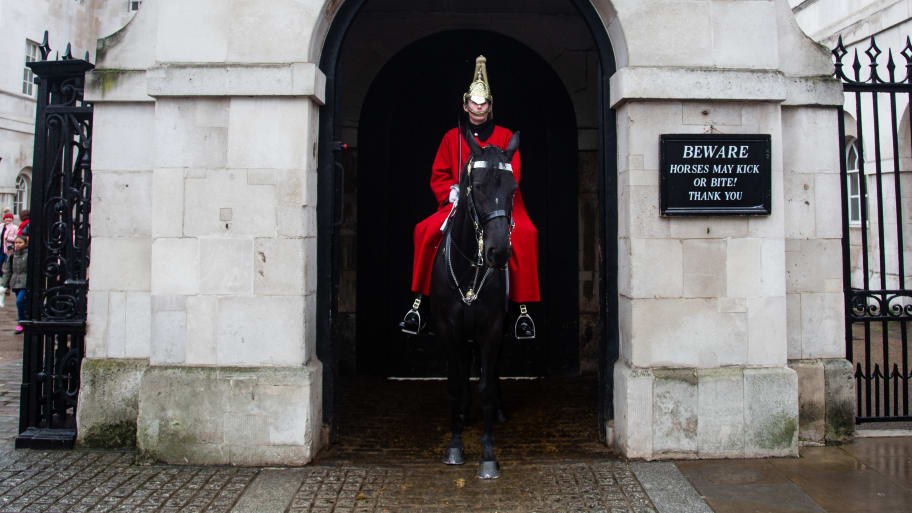 A guard horse and mounted trooper in London. 