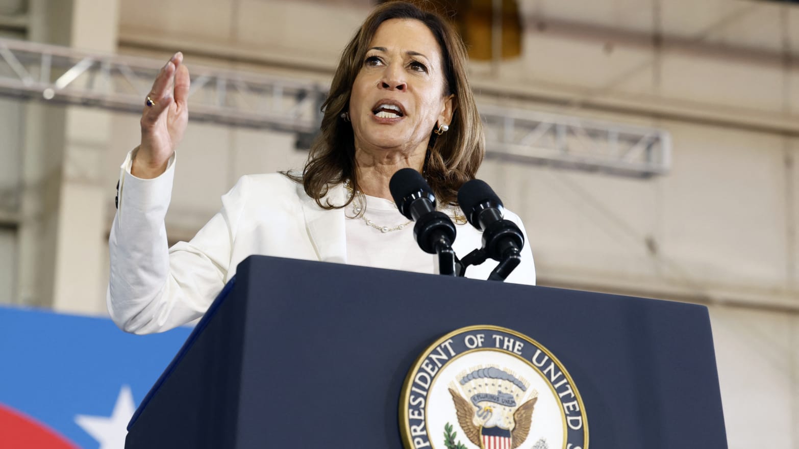 US Vice President and Democratic presidential candidate Kamala Harris speaks during a campaign rally at Detroit Metropolitan Airport in Romulus, Michigan, August 7, 2024. 