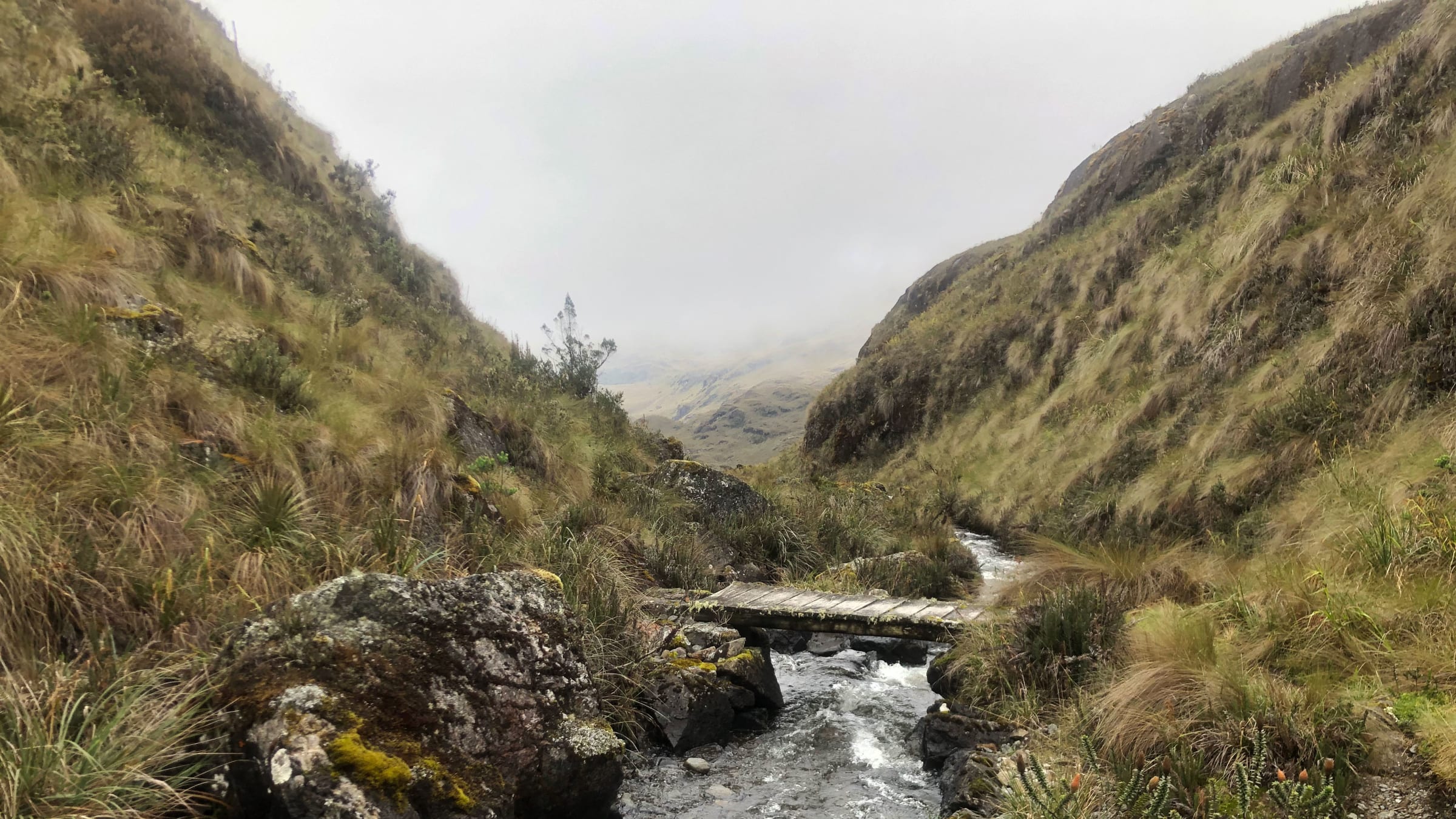 A photograph of a stream and bridge along the Inca trail near Llaviucu Lake.