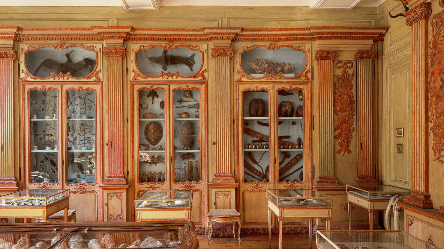 Travel to Europe’s Best Cabinets of Curiosity