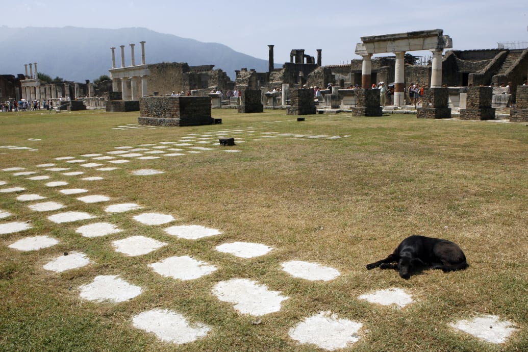 A view of Pompeii with a black dog apparently asleep in the foreground.