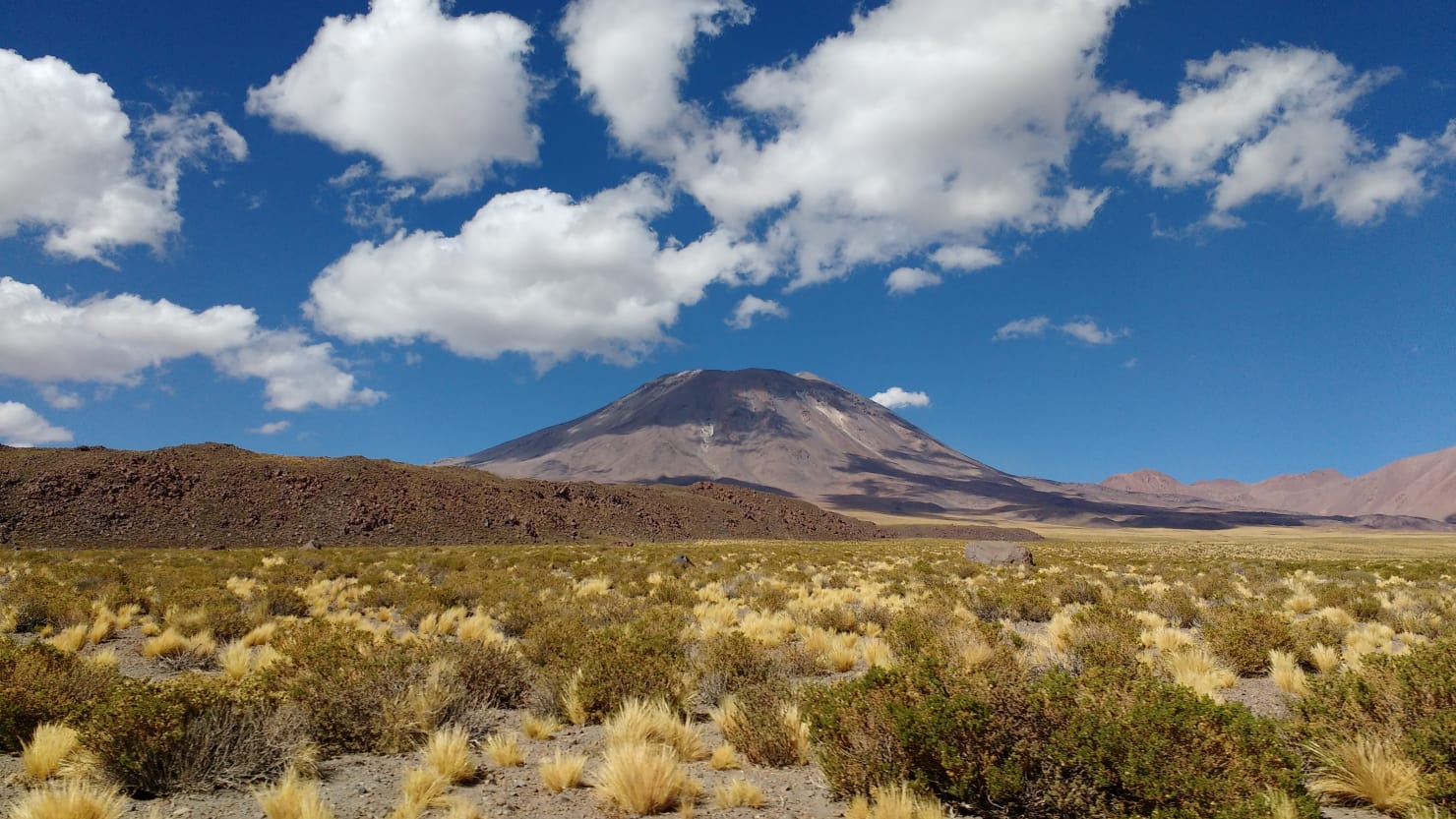 Hay una mina de oro genética en el desierto de Atacama en Chile que ayudará a los ingenieros a plantar plantas resistentes a la sequía.