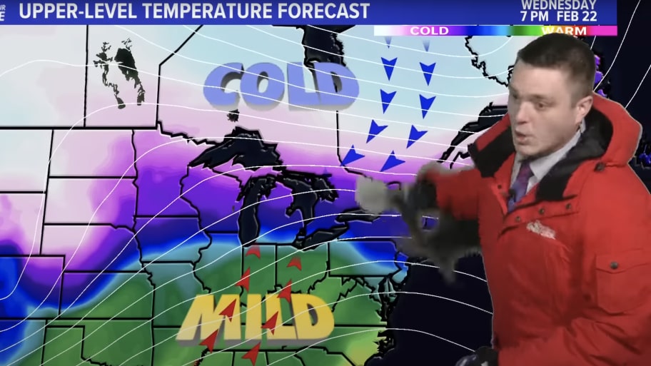 Meteorologist Blake Hansen interrupted by cats during a newscast. 