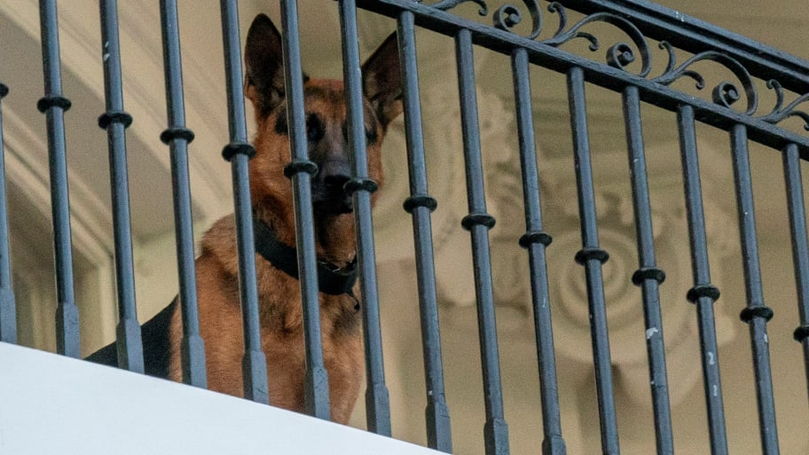 Commander Biden stares down from a balcony at the White House.