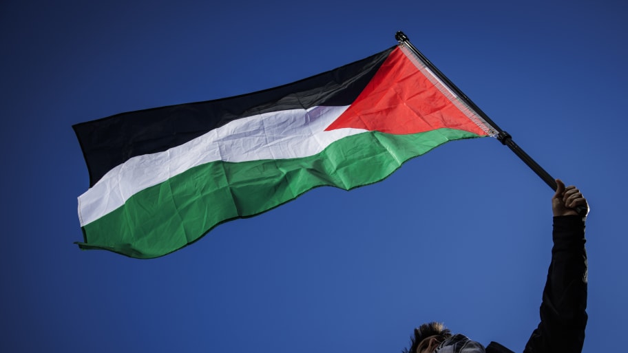 A pro-Palestine demonstrator waves a Palestinian flag in the air as demonstrators gather at Freedom Plaza for a rally on January 13, 2024 in Washington, DC. 