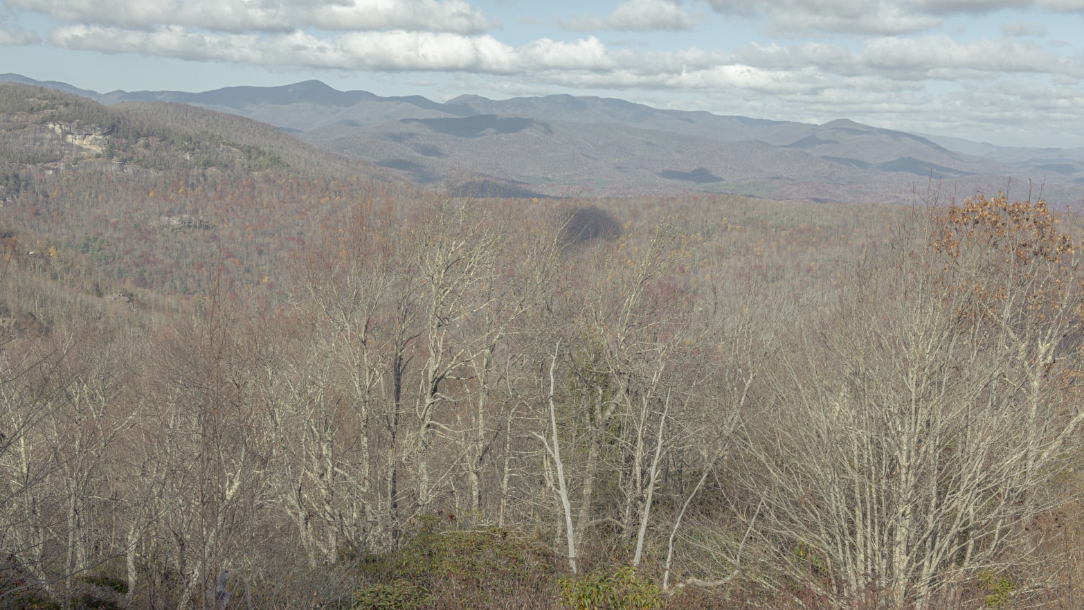 A view of Pisgah National Forest from the Southern Highlands Reserve in Lake Toxaway, North Carolina on Friday, November 4, 2022. 